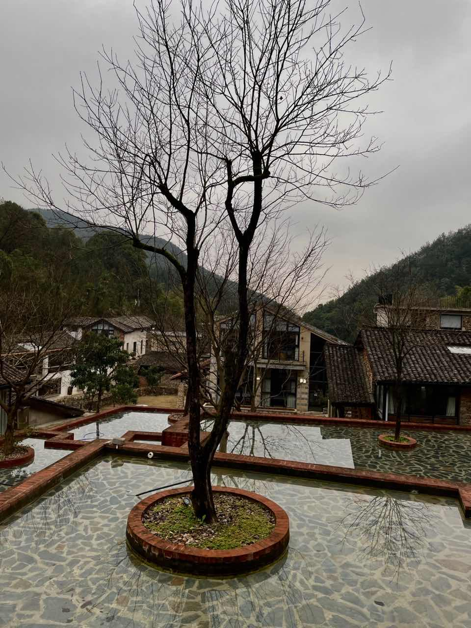 圖片6.png 圖片6.png